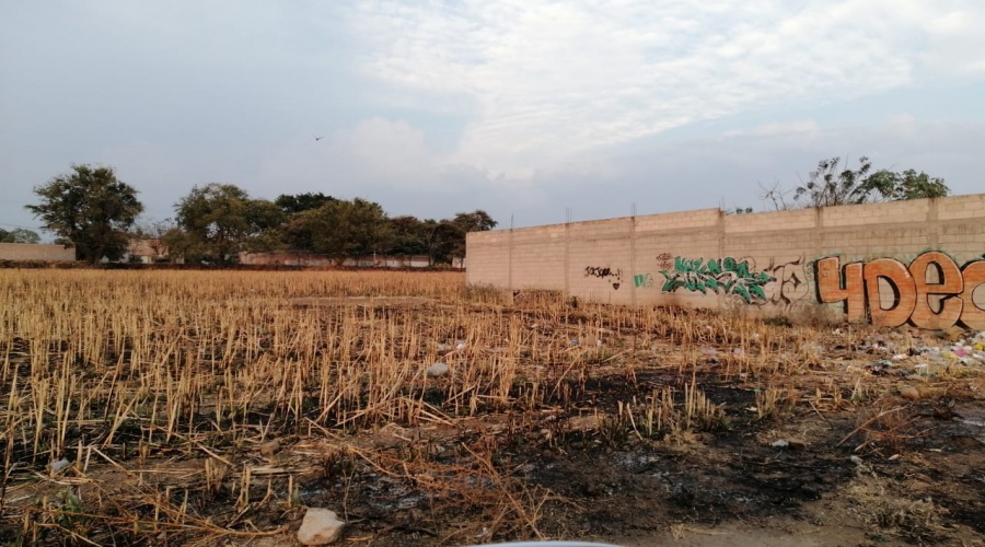LOTES
250M2
ESCRITURADOS
CUAUTLA
TETELCINGO